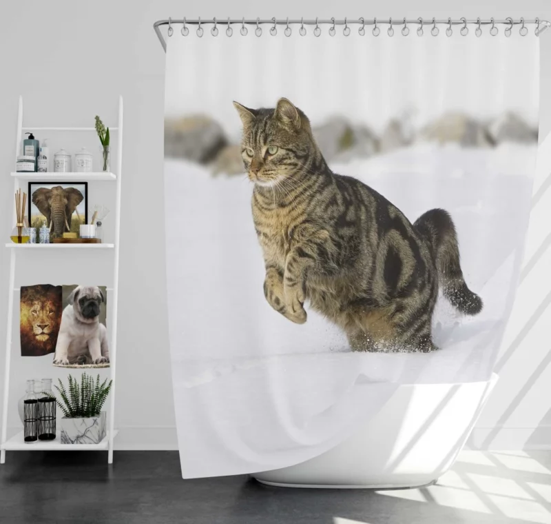 Curious Cat Close-Up Shower Curtain