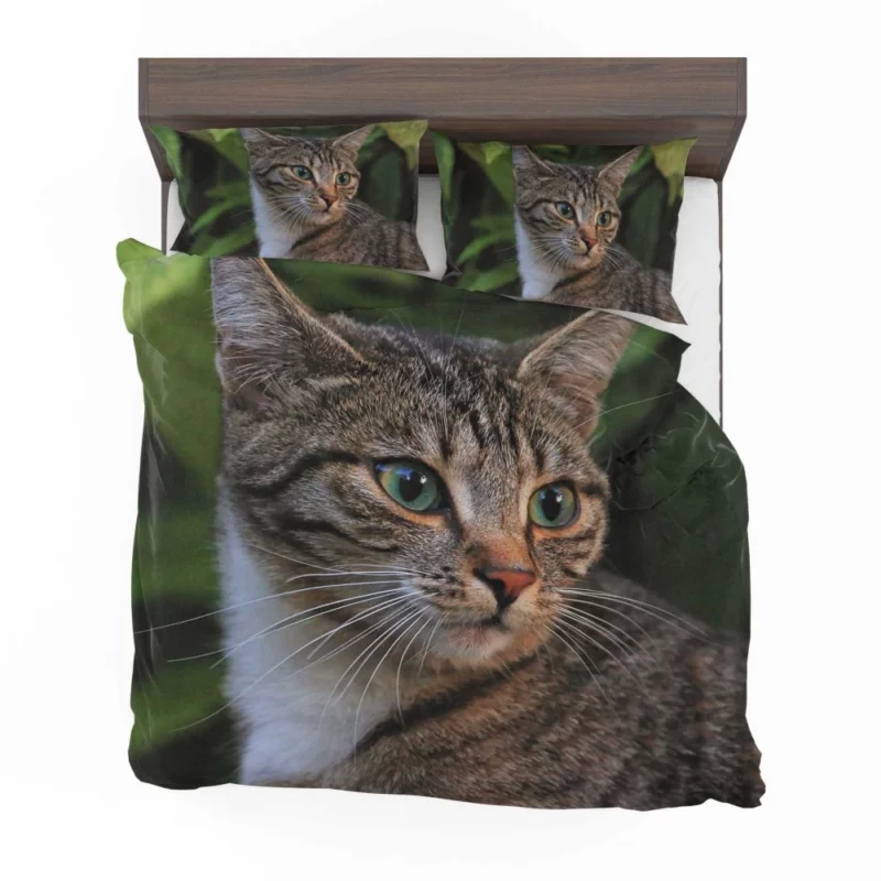 Curious Cat Gaze Feline Intrigue Bedding Set 1