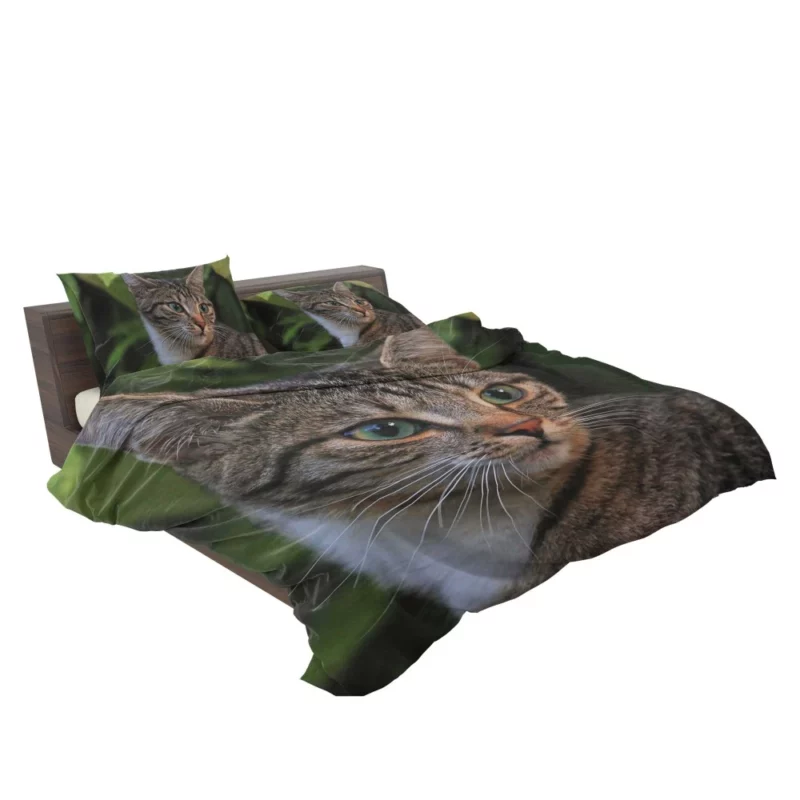 Curious Cat Gaze Feline Intrigue Bedding Set 2