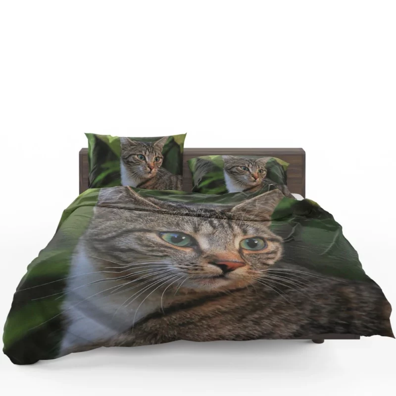 Curious Cat Gaze Feline Intrigue Bedding Set