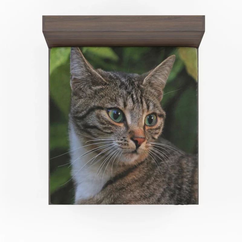 Curious Cat Gaze Feline Intrigue Fitted Sheet 1