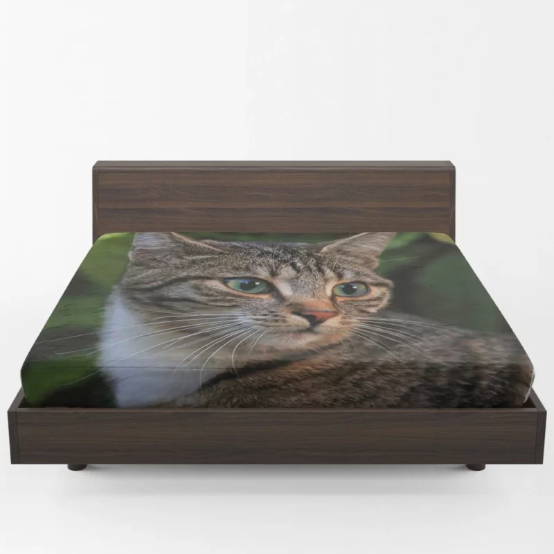 Curious Cat Gaze Feline Intrigue Fitted Sheet