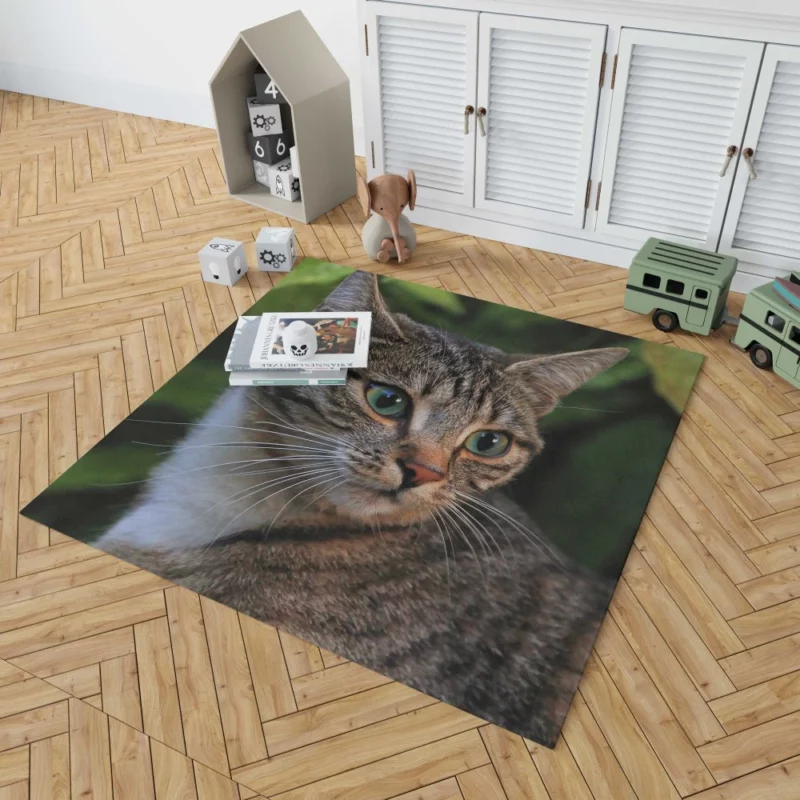 Curious Cat Gaze Feline Intrigue Rug 1