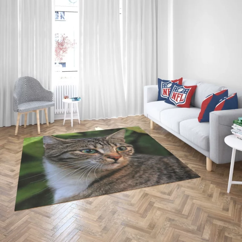 Curious Cat Gaze Feline Intrigue Rug 2