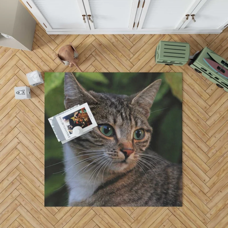 Curious Cat Gaze Feline Intrigue Rug