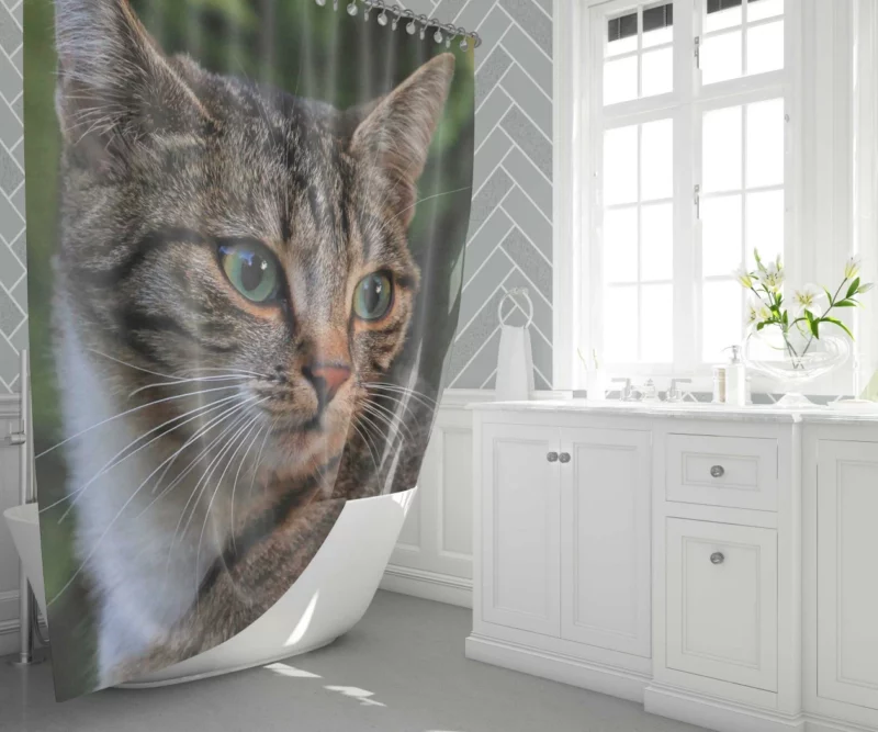 Curious Cat Gaze Feline Intrigue Shower Curtain 1