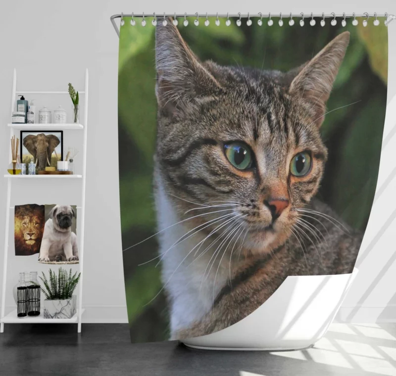 Curious Cat Gaze Feline Intrigue Shower Curtain