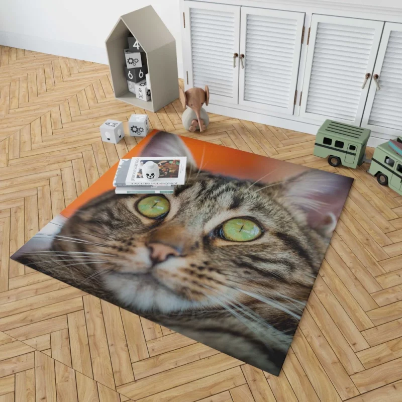 Curious Cat Innocent Stare Feline Charm Rug 1