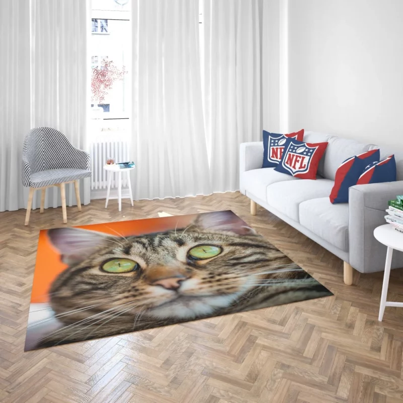 Curious Cat Innocent Stare Feline Charm Rug 2