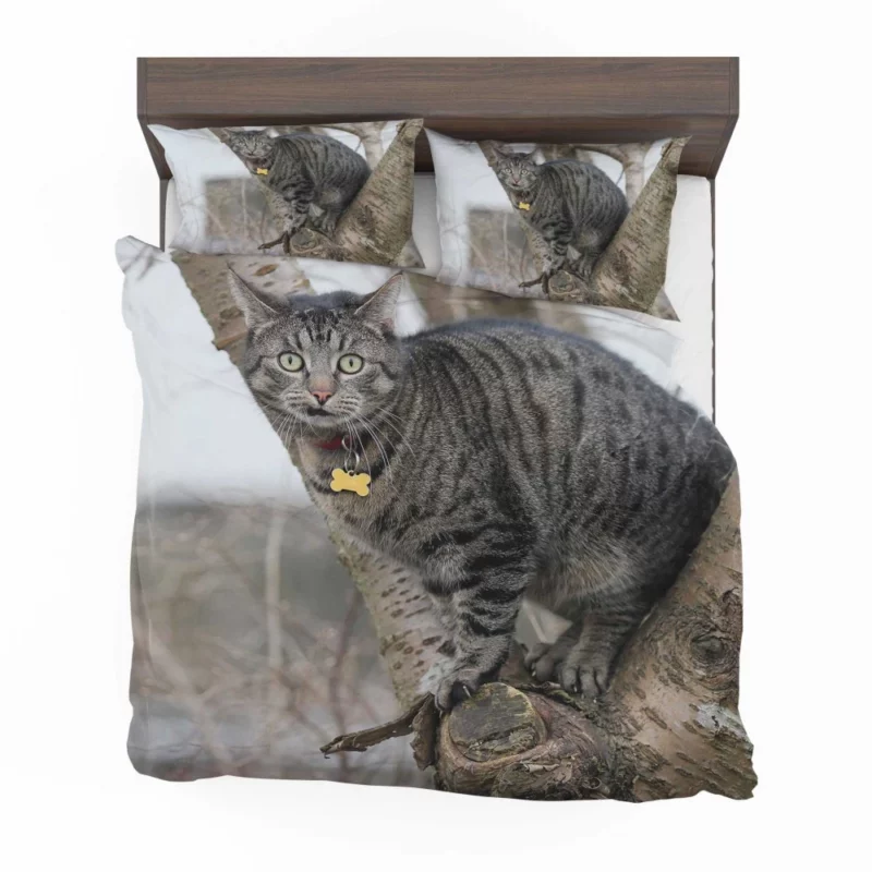 Curious Cat Playful Exploration Bedding Set 1