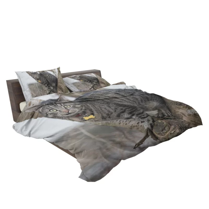 Curious Cat Playful Exploration Bedding Set 2