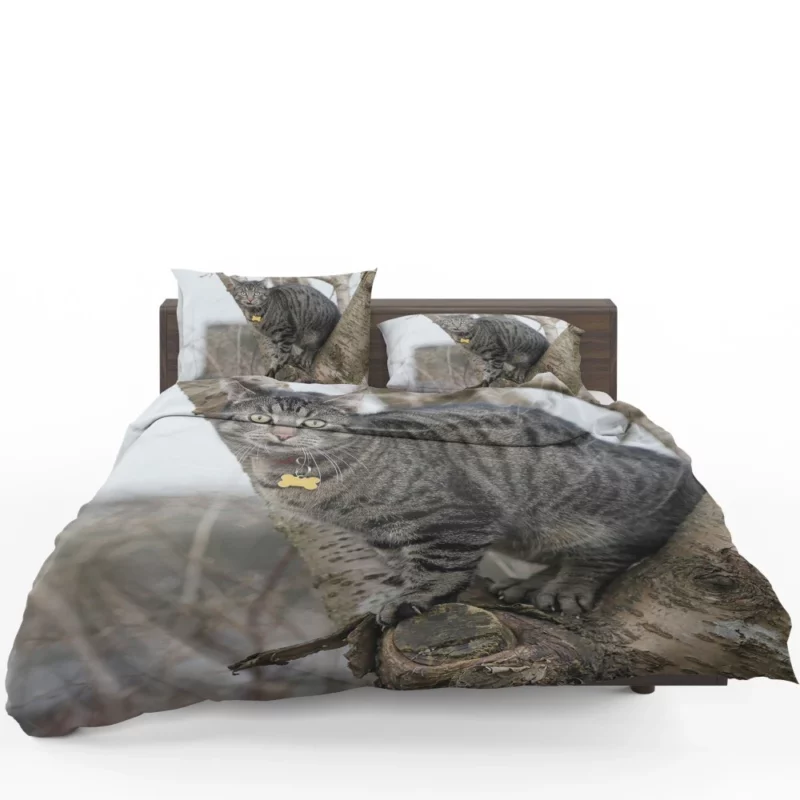 Curious Cat Playful Exploration Bedding Set