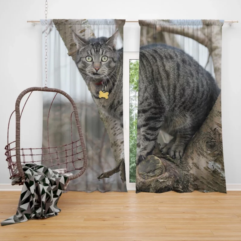 Curious Cat Playful Exploration Curtain