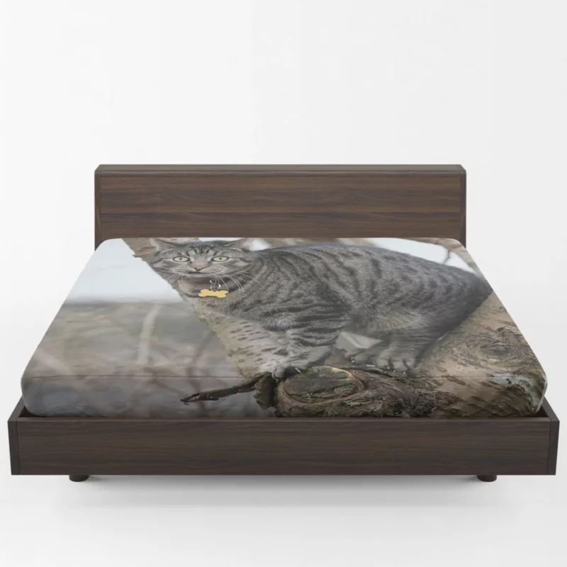 Curious Cat Playful Exploration Fitted Sheet