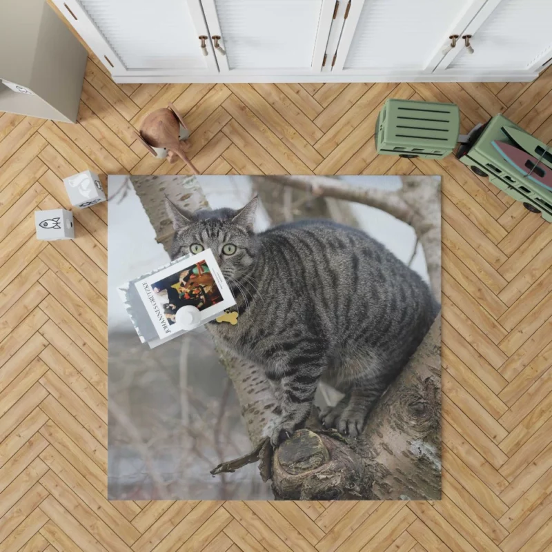 Curious Cat Playful Exploration Rug