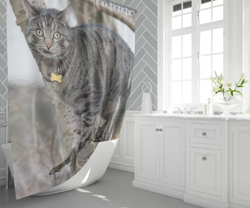 Curious Cat Playful Exploration Shower Curtain 1