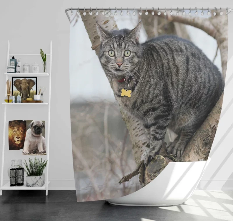 Curious Cat Playful Exploration Shower Curtain