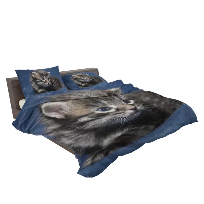 Curious Cat Playful Whiskers Bedding Set 2