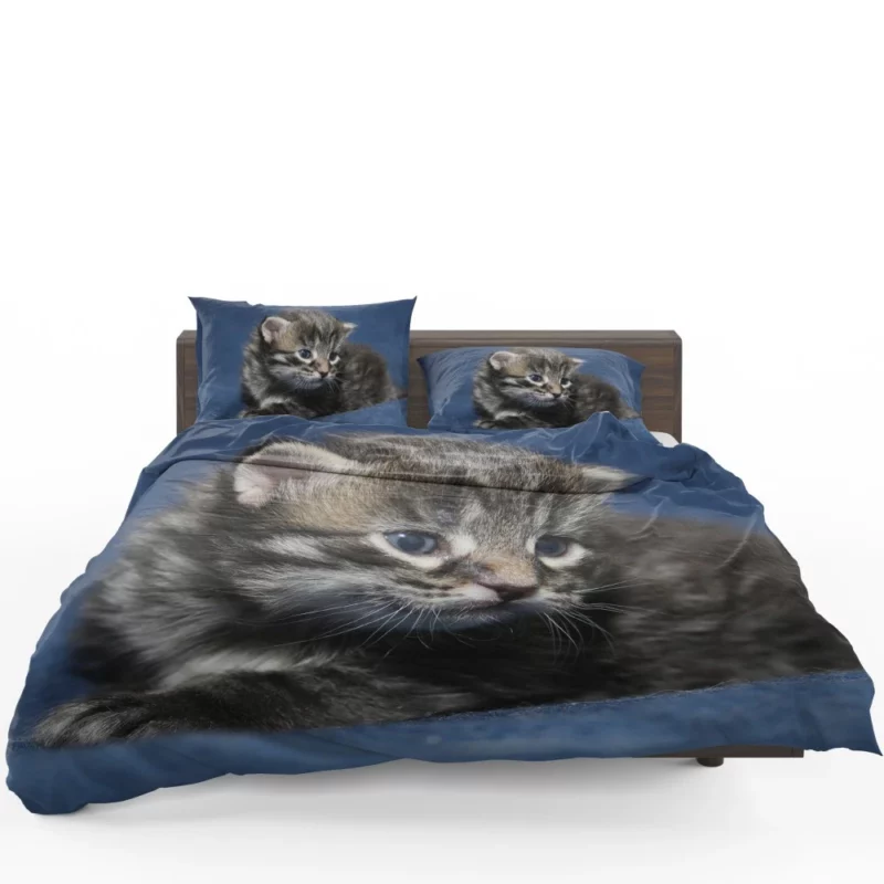 Curious Cat Playful Whiskers Bedding Set