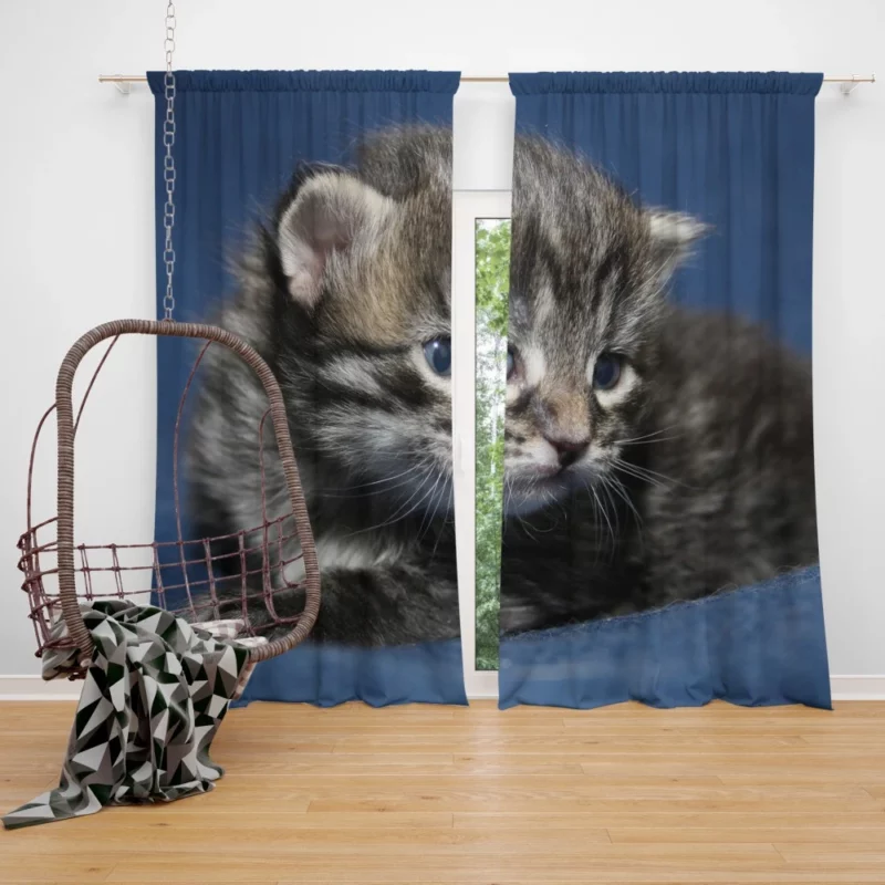 Curious Cat Playful Whiskers Curtain