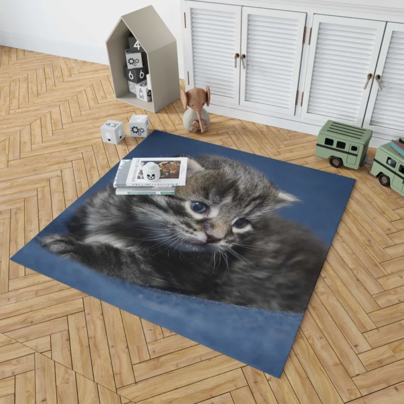 Curious Cat Playful Whiskers Rug 1