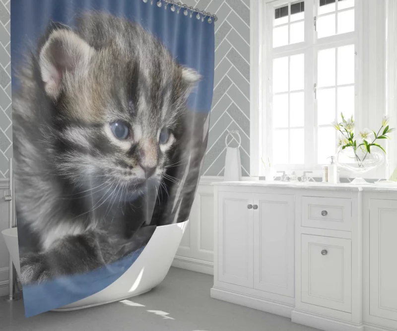 Curious Cat Playful Whiskers Shower Curtain 1