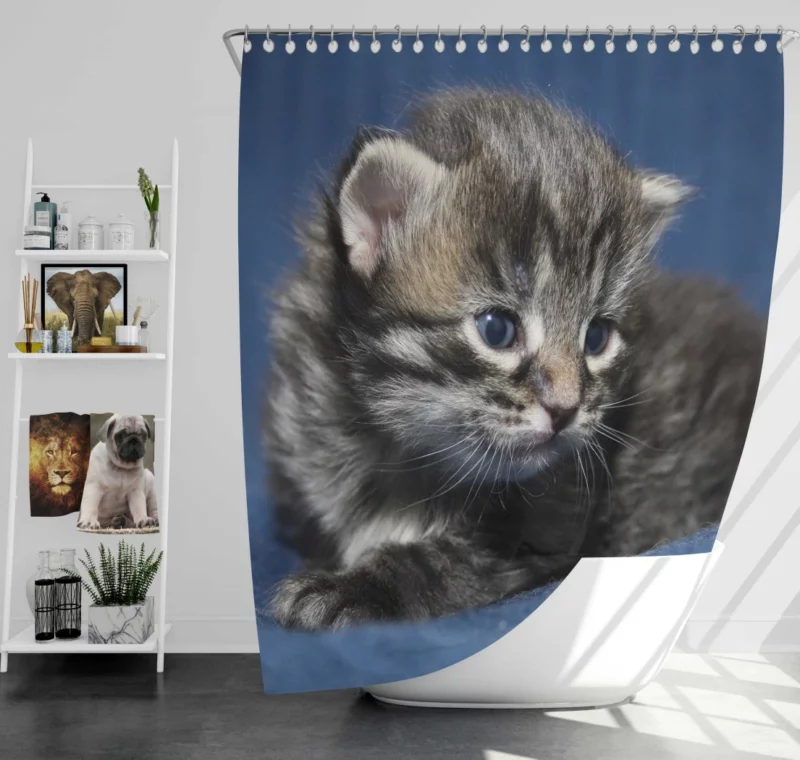 Curious Cat Playful Whiskers Shower Curtain