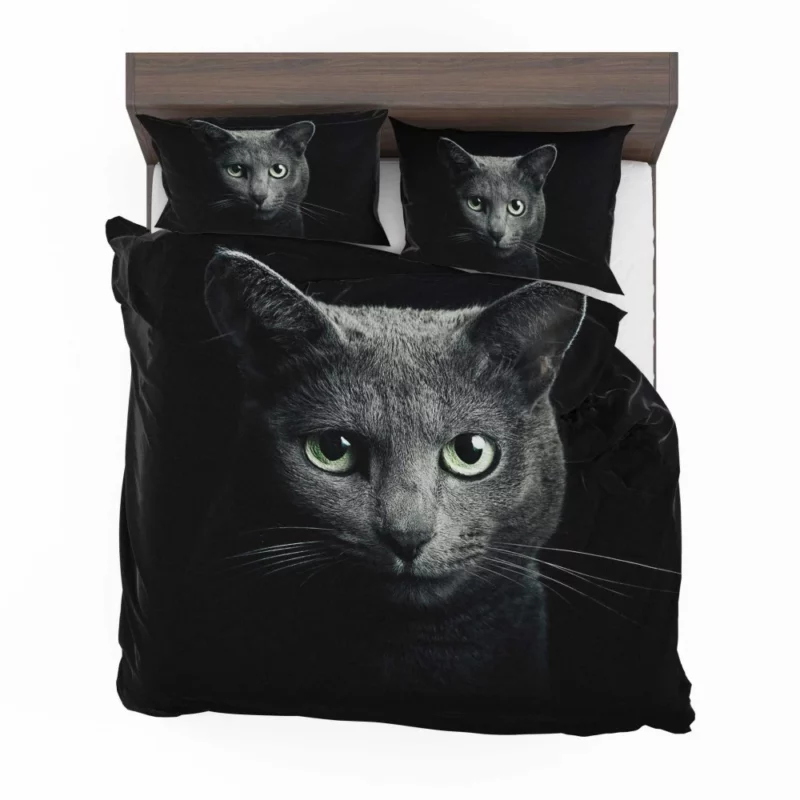 Curious Cat Playful Whiskers and Head Bedding Set 1