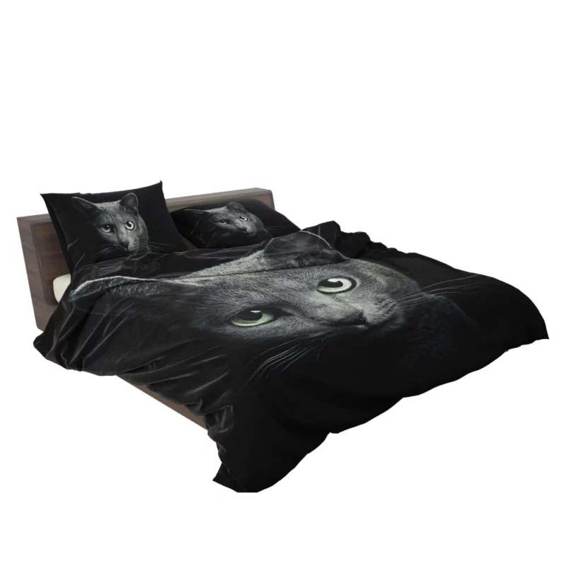 Curious Cat Playful Whiskers and Head Bedding Set 2