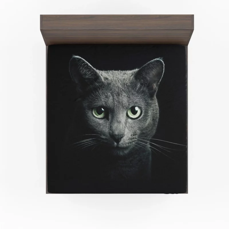 Curious Cat Playful Whiskers and Head Fitted Sheet 1