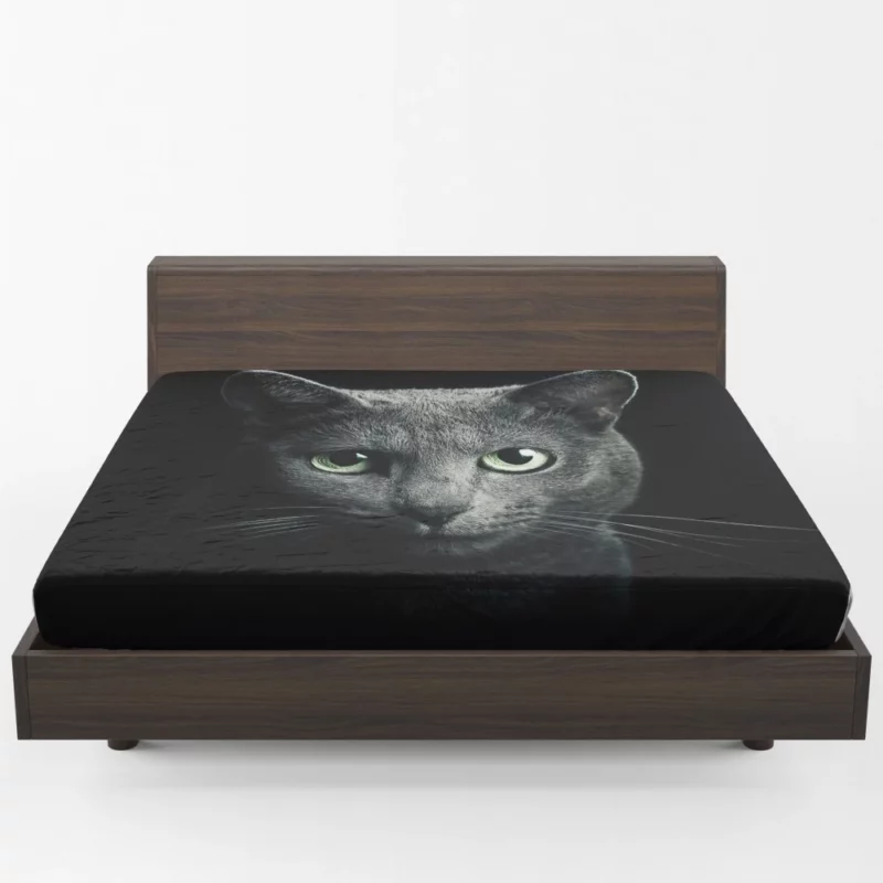 Curious Cat Playful Whiskers and Head Fitted Sheet