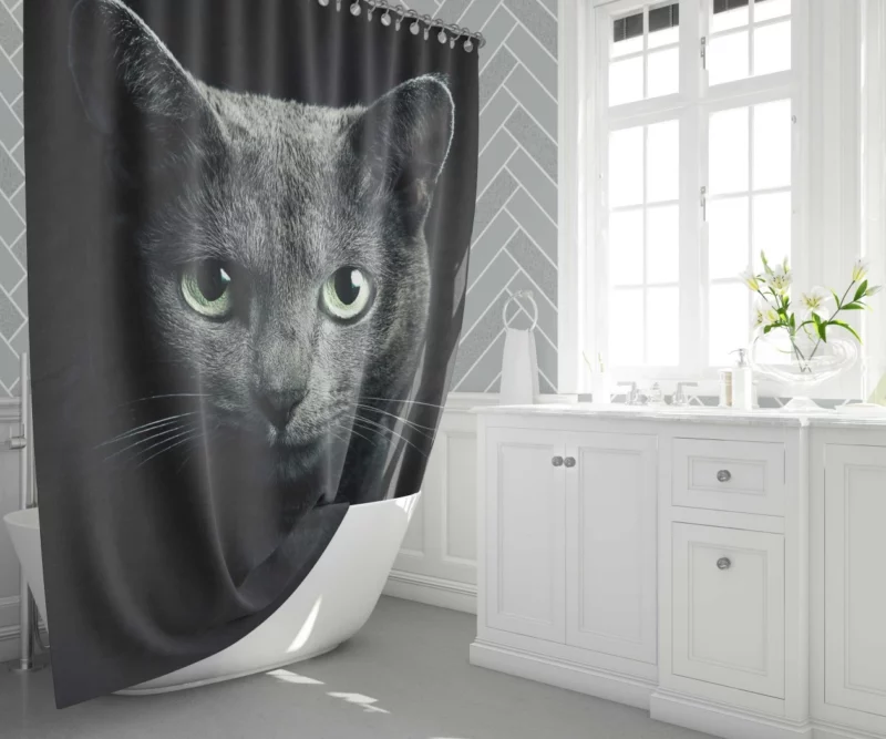 Curious Cat Playful Whiskers and Head Shower Curtain 1