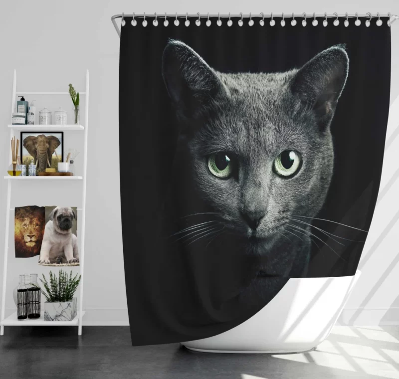 Curious Cat Playful Whiskers and Head Shower Curtain