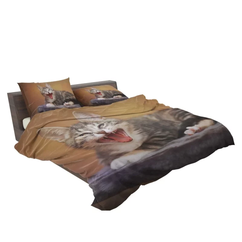 Curious Cat Whisker Bedding Set 2