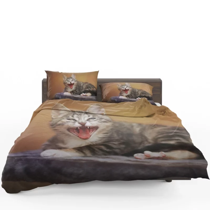 Curious Cat Whisker Bedding Set