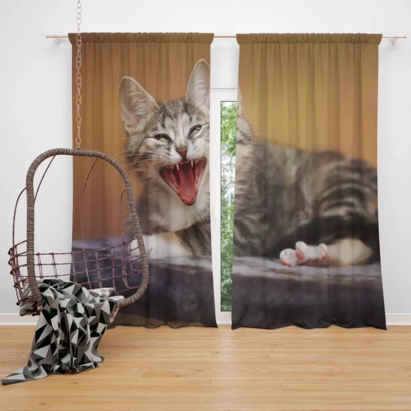 Curious Cat Whisker Curtain