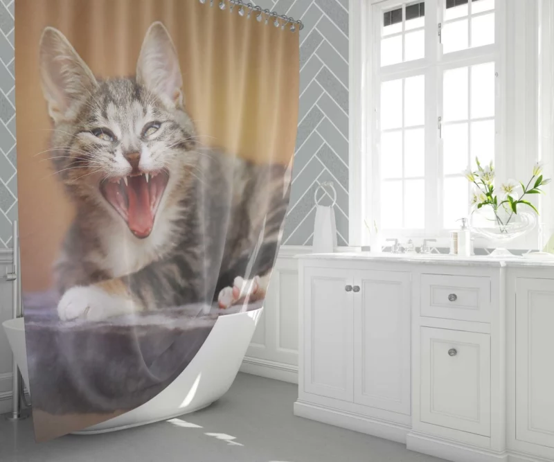 Curious Cat Whisker Shower Curtain 1