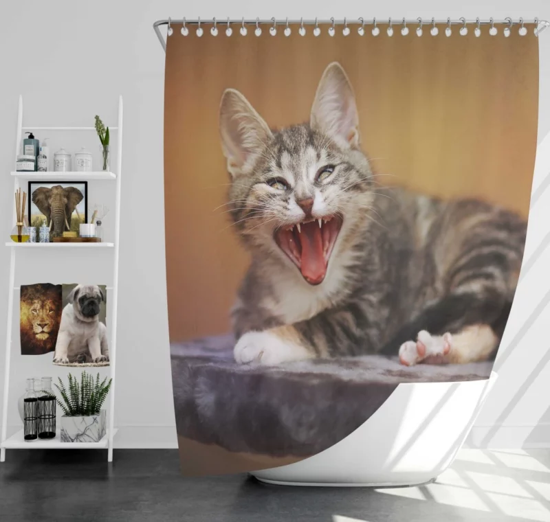 Curious Cat Whisker Shower Curtain