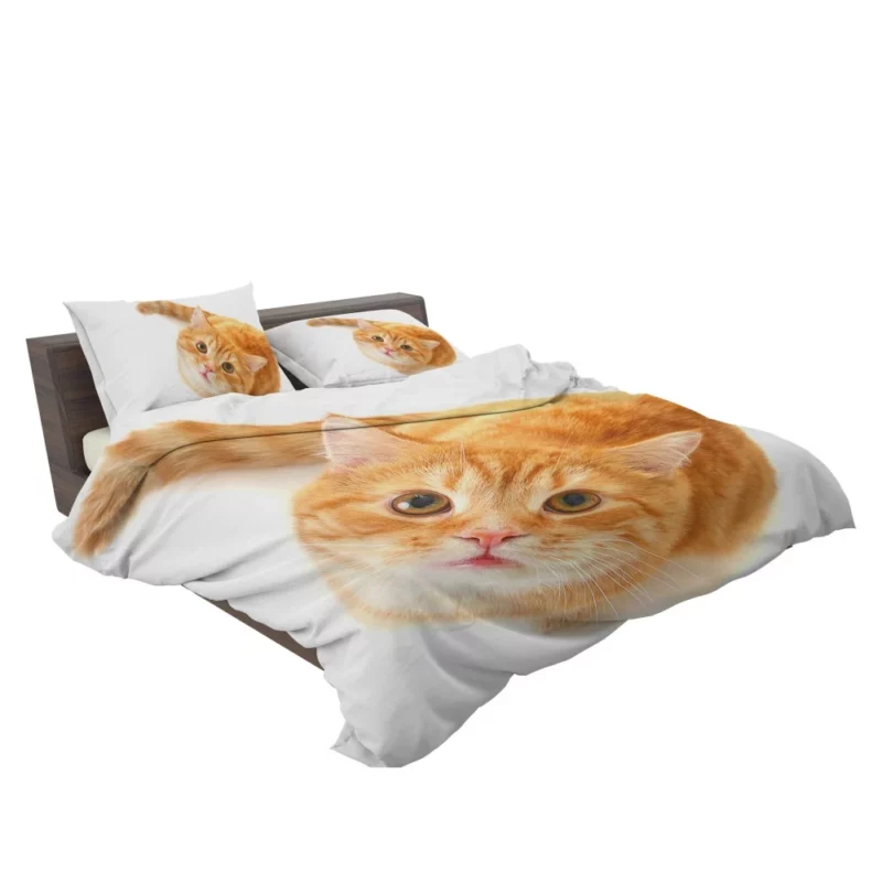 Curious Gaze Cat Whisker Wonders Bedding Set 2