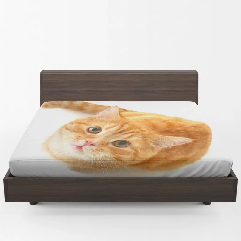 Curious Gaze Cat Whisker Wonders Fitted Sheet