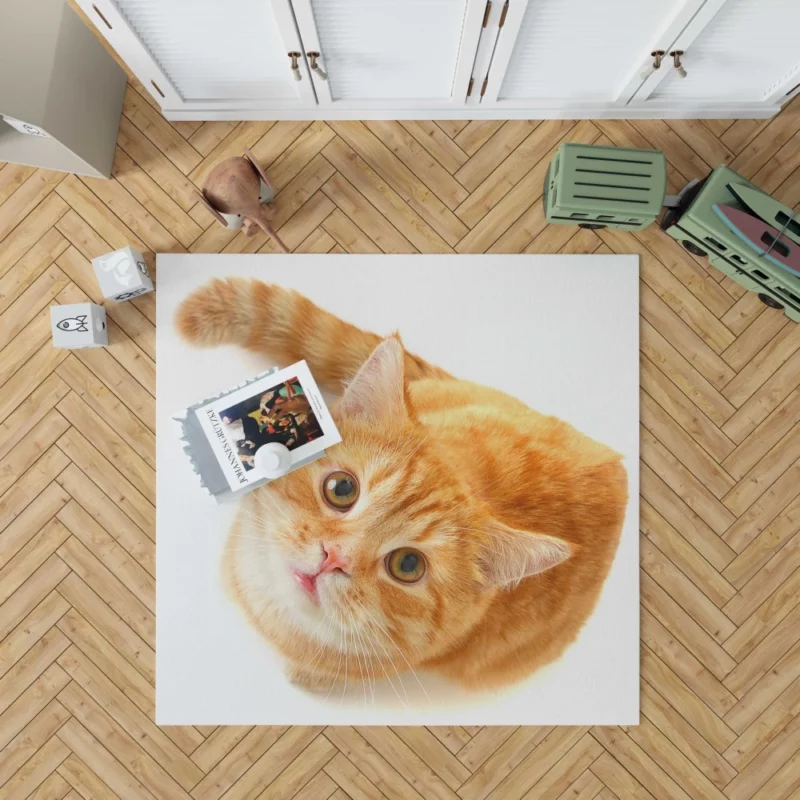 Curious Gaze Cat Whisker Wonders Rug