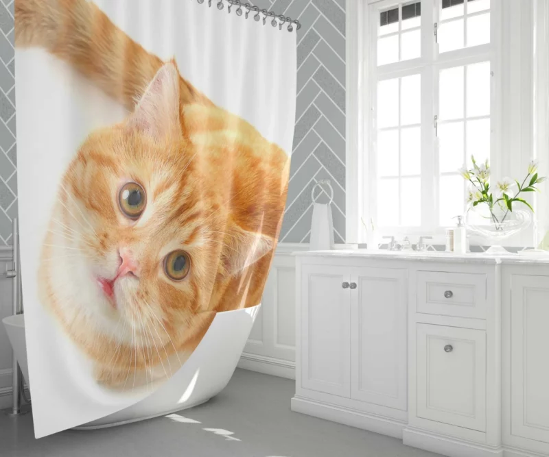 Curious Gaze Cat Whisker Wonders Shower Curtain 1