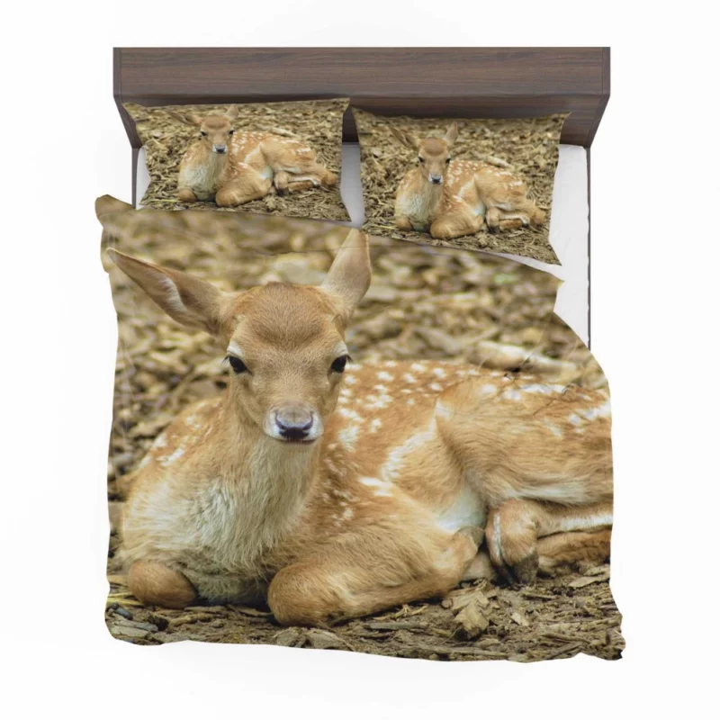 Curious Innocence Baby Deer Bedding Set 1