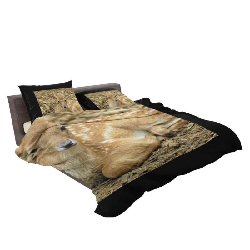 Curious Innocence Baby Deer Bedding Set 2