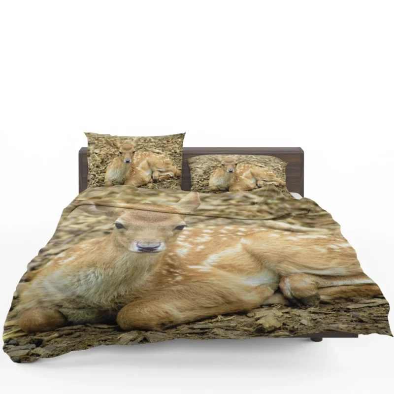 Curious Innocence Baby Deer Bedding Set