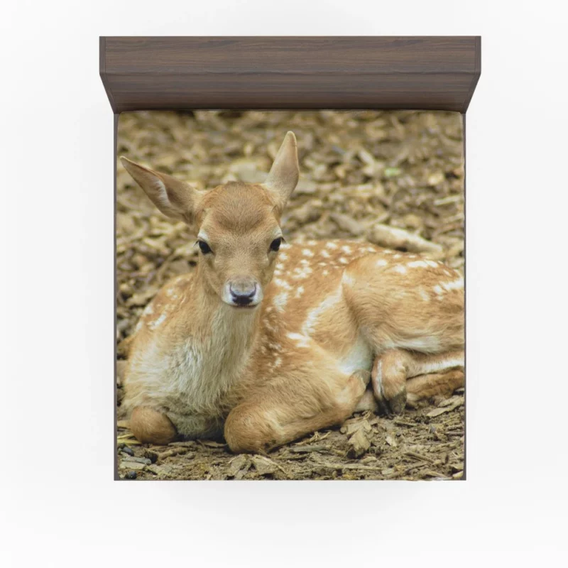 Curious Innocence Baby Deer Fitted Sheet 1