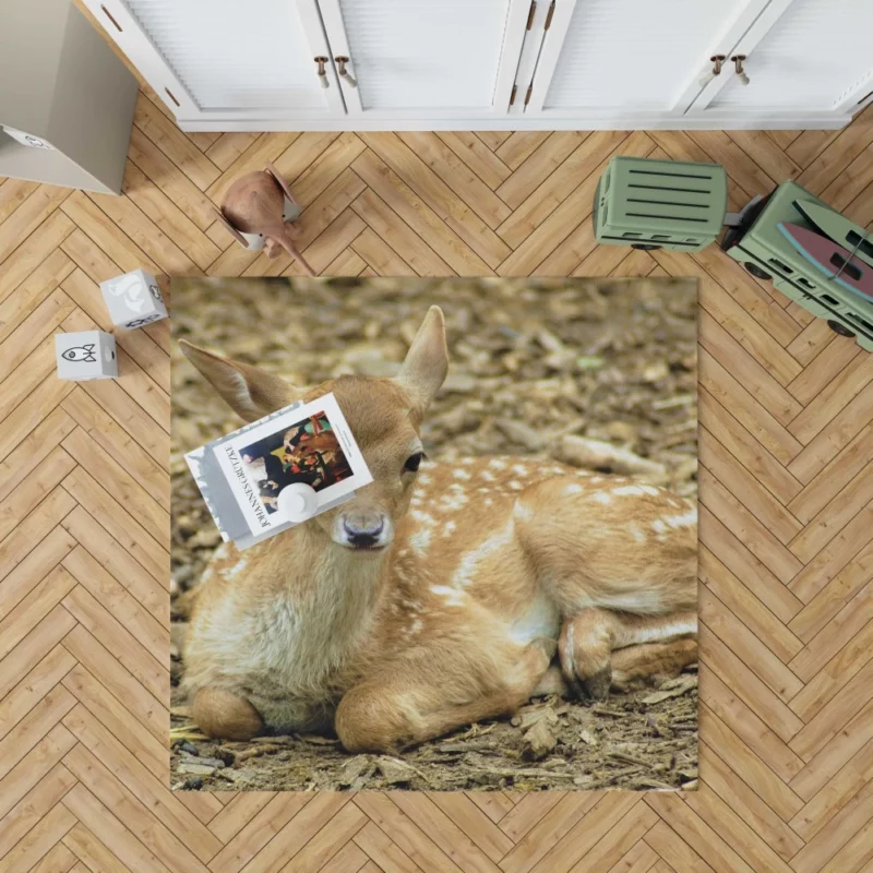 Curious Innocence Baby Deer Rug