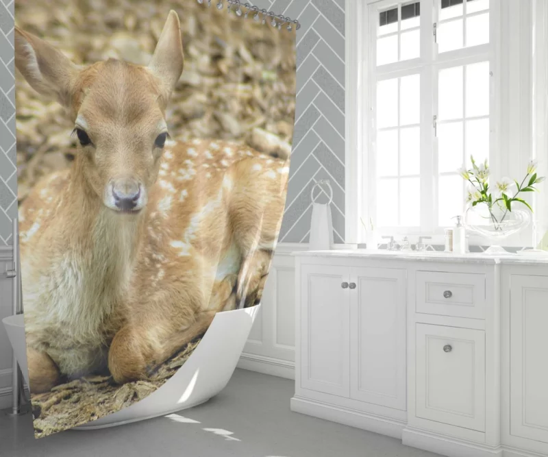 Curious Innocence Baby Deer Shower Curtain 1