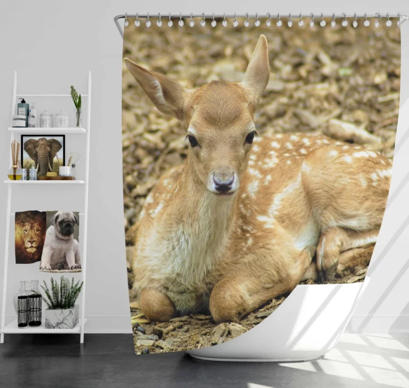 Curious Innocence Baby Deer Shower Curtain