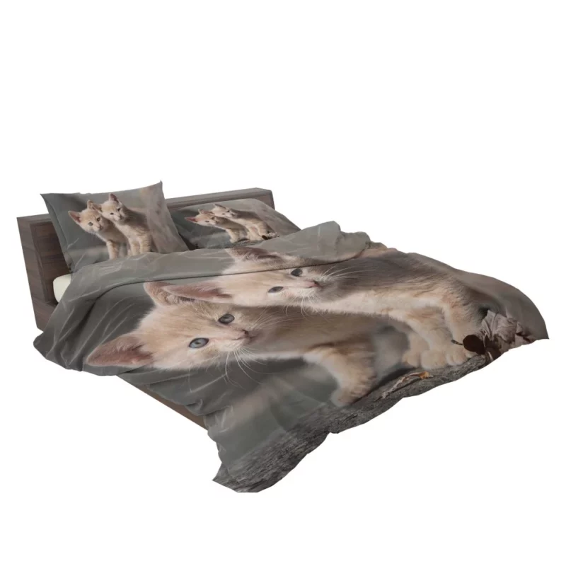 Curious Kitten Cuteness Bedding Set 2